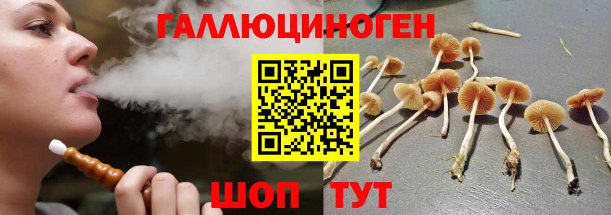 Псилоцибиновые грибы GOLDEN TEACHER  Галлюциногенные грибы Psilocybine cubensis  даркнет сайт  Рузаевка  Вход с VPN 